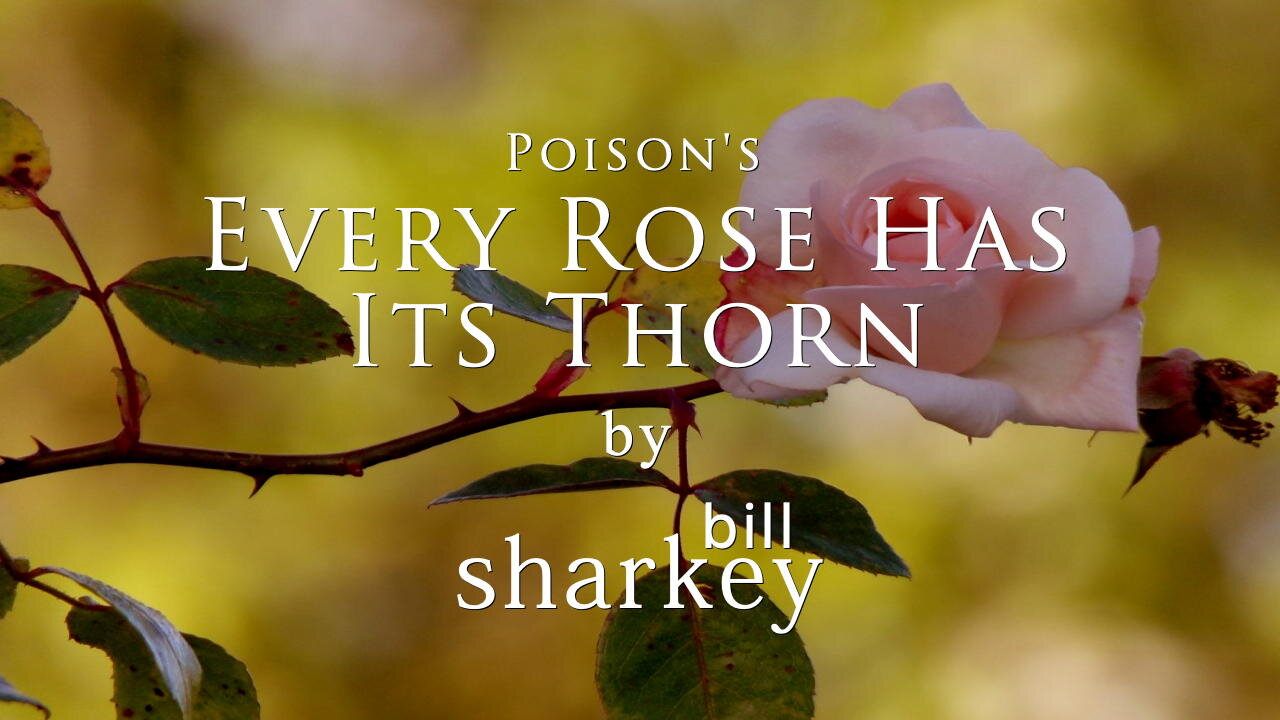 Every Rose Has It's Thorn - Poison (cover-live by Bill Sharkey)