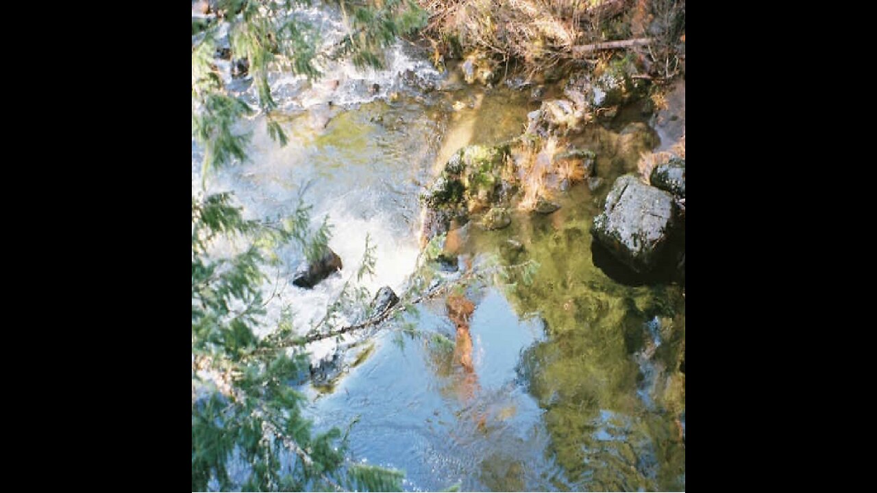 Bible Teaching that God, Jesus, and Believers are aliens.