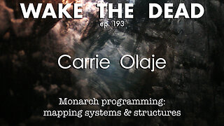 WTD ep.193 Carrie Olaje 'Monarch Programming: mapping systems & structures'