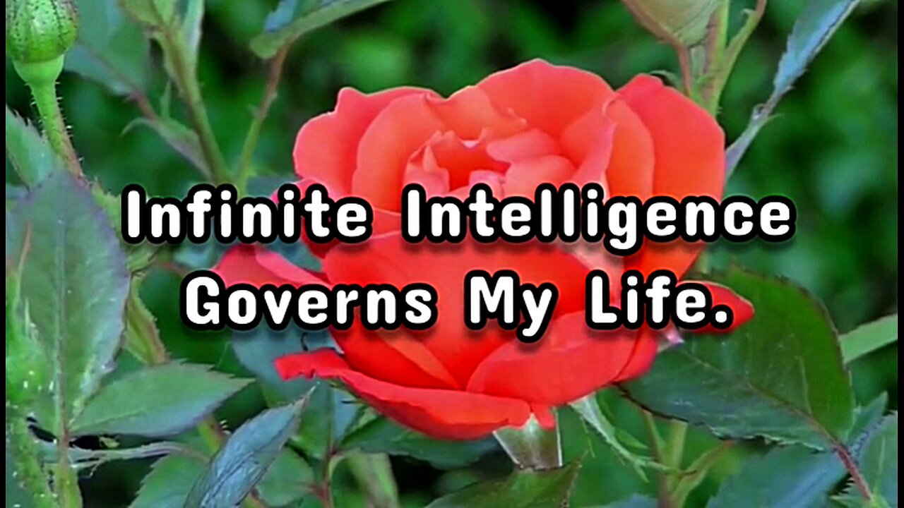 Infinite Intelligence Governs My Life.