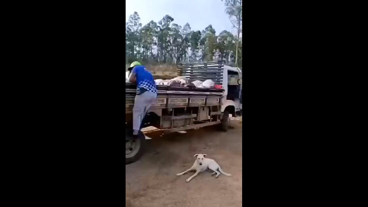 Funny Video PT 01