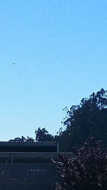 dracs spying on human Americans