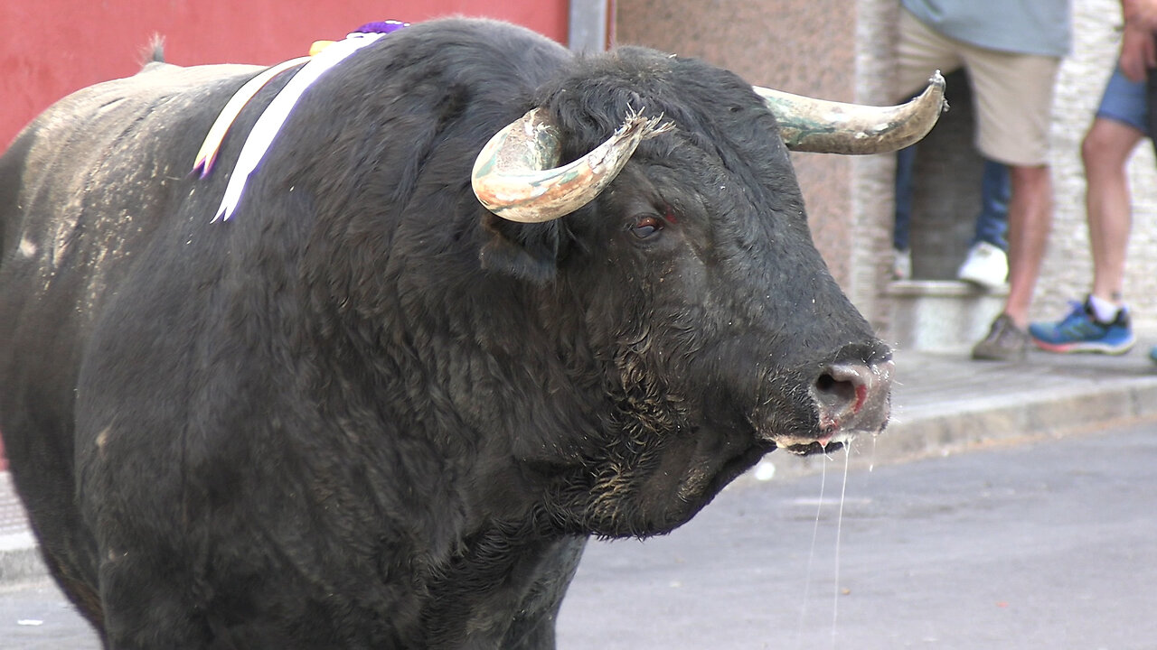 2025 06 07 ONDA CALLE CASTELLÓN