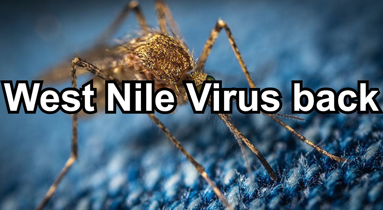 West Nile Virus back