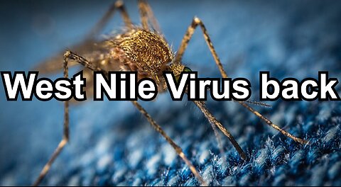 West Nile Virus back