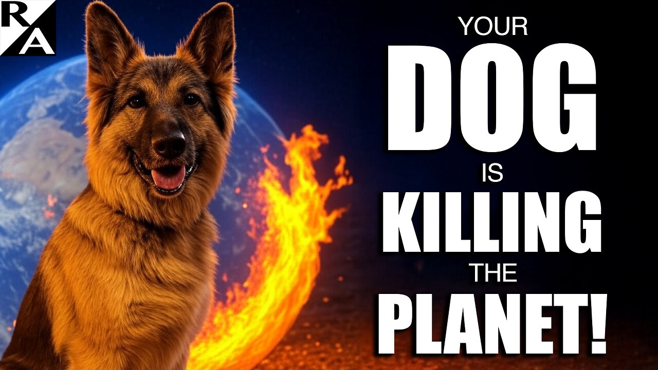 Your Dog is Killing the Planet!