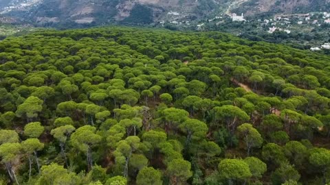 "It’s not about how hard you hit. It’s about how hard you can get hit and keep moving forward."