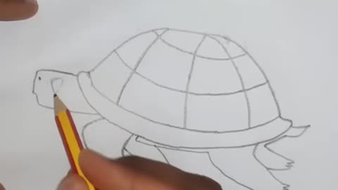 Step-by-Step Sea Turtle Drawing 🐢 #easydrawing #cutedrawing #drawingforkids #turtledrawing #shorts