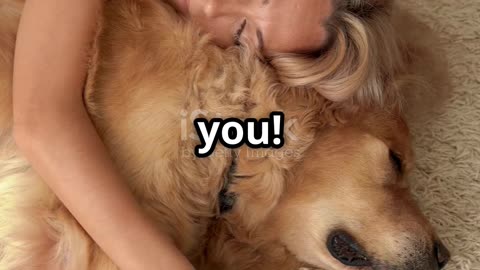 5 Dog Facts That Will Blow Your