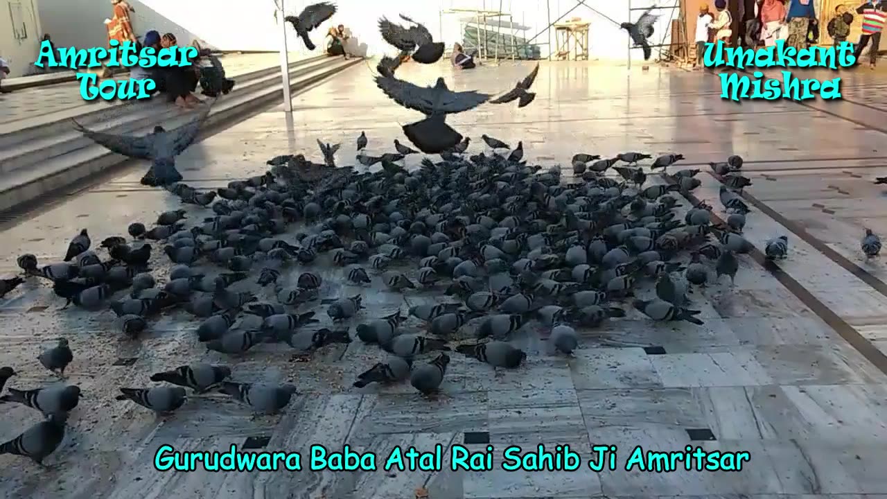 Gurudwar Atal Rai Sahib Amritsar Complete View