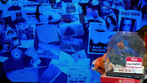 THE GREADA TREATY |AMERICA’S ALIEN ALLIANCE [STRIPPED ]