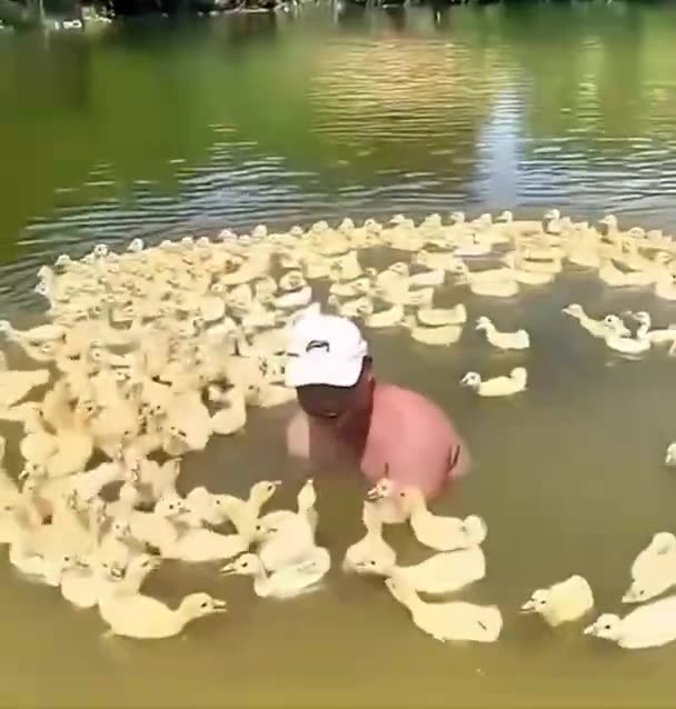 When extended family members decide to stop by