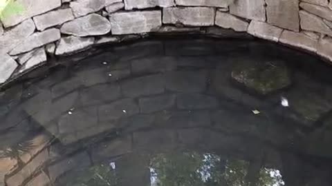Sarhul dari ka video