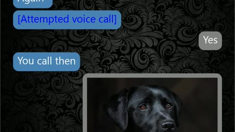 Helpful dog