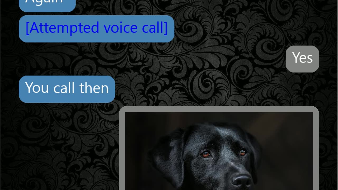 Helpful dog