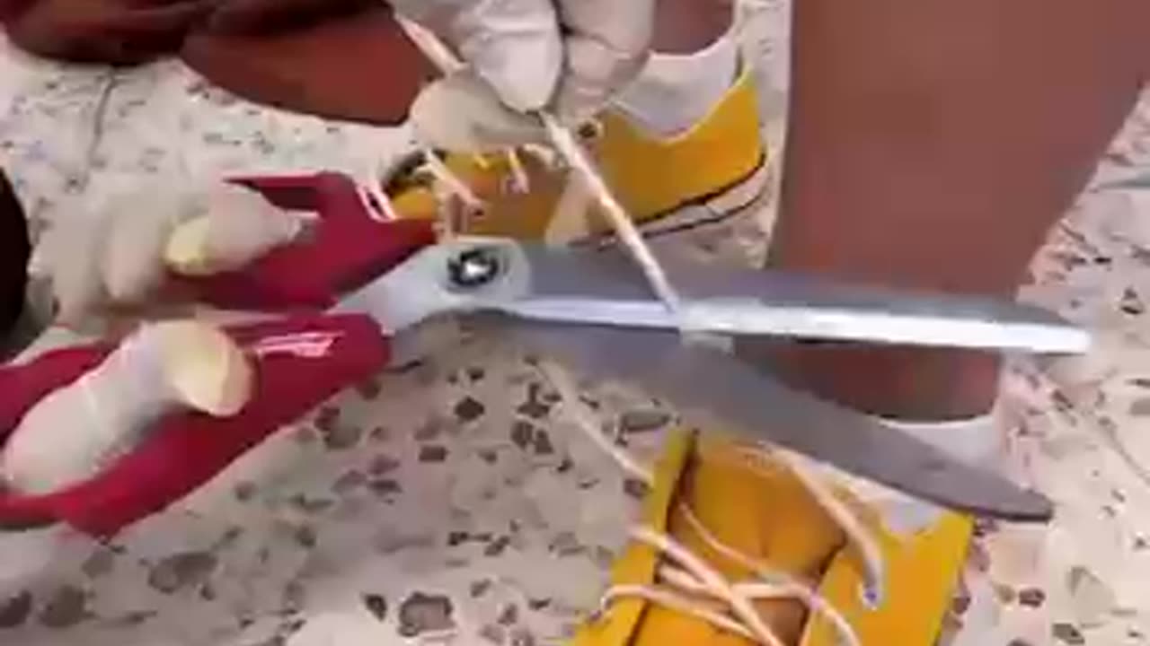 Can you imagine this?