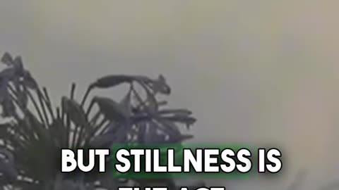 Peace Over Panic: The Power of Inner Trust