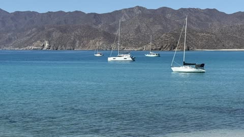 Creatina y Colágeno: Suplementos para la Salud y el Rendimiento