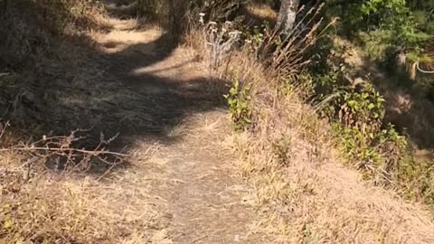 A Morning Hike in Binsar!