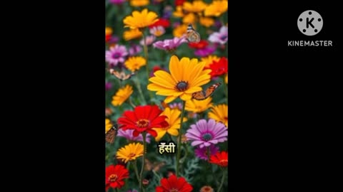फूलों के raj