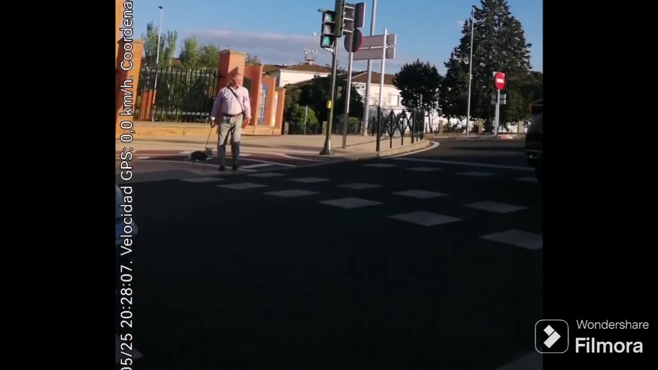 Un coche está a punto de atropellar a un señor y su perro