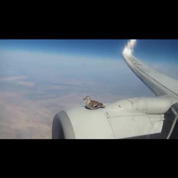 First class travel with awesome leg room 🤣