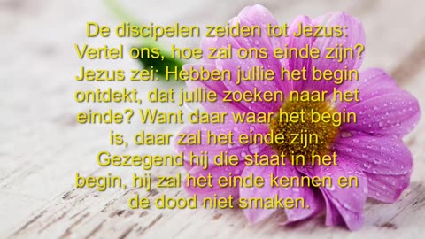 De discipelen zeiden tot Jezus