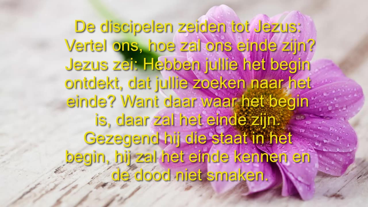 De discipelen zeiden tot Jezus