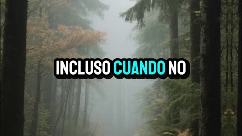 Señor, renueva mi esperanza y mi fe