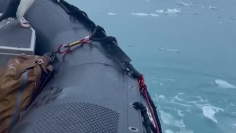Wait for it.. 😅