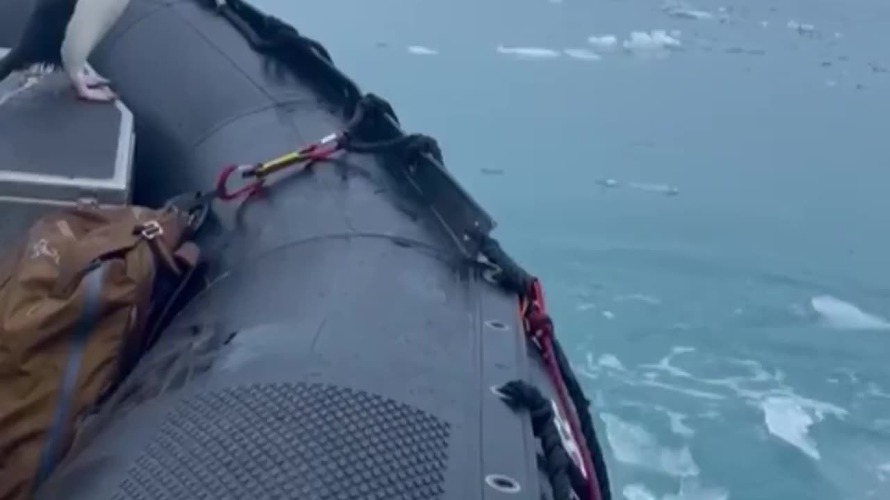 Wait for it.. 😅