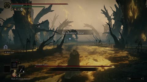 New Year, New ELDEN RING!!