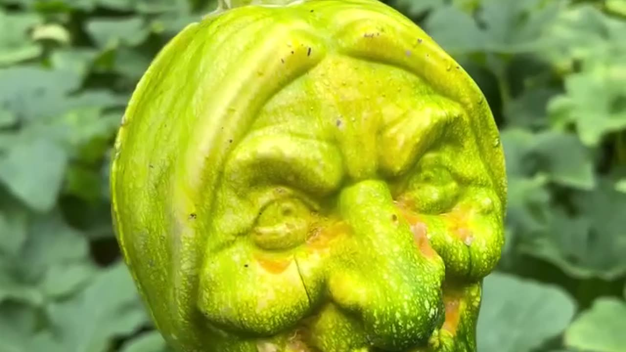Custom melons?