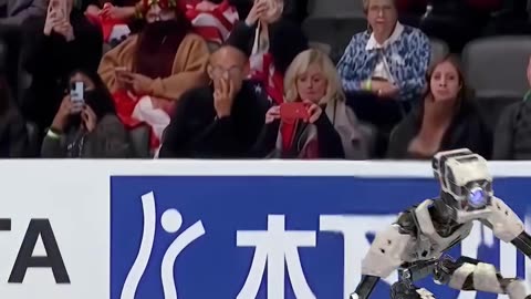 Robots Skating