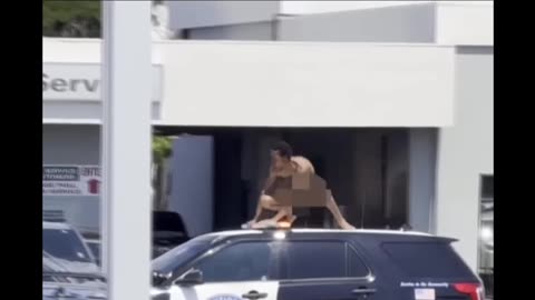 Naked Bay Area Man Surfs a Police Car