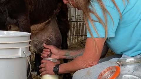 Feeding Time, Farm Rants, and RAW MILK