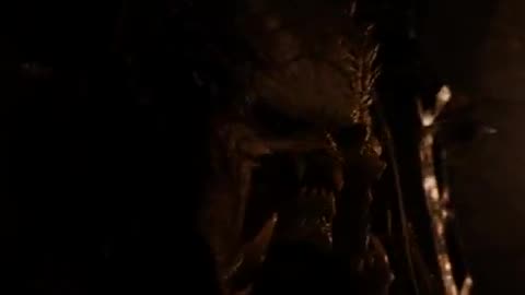 Predator Planet