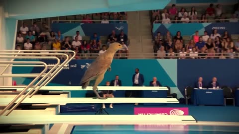 Which Dinosaur Wins the Gold Medal? | Animal Olympics