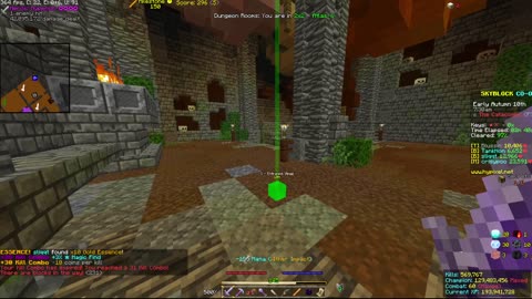 Skyblock FLOOR 7 [#2740]