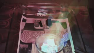Tim Rifat TikTok Videos