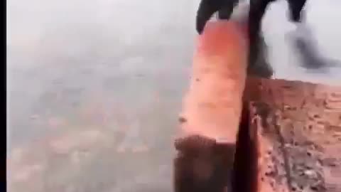 When Strategy Meets Persistence