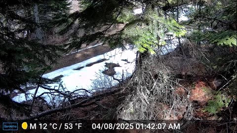 Trail cam Retrieval