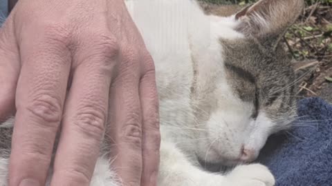 Saying goodbye, 'no scratch formula' works!