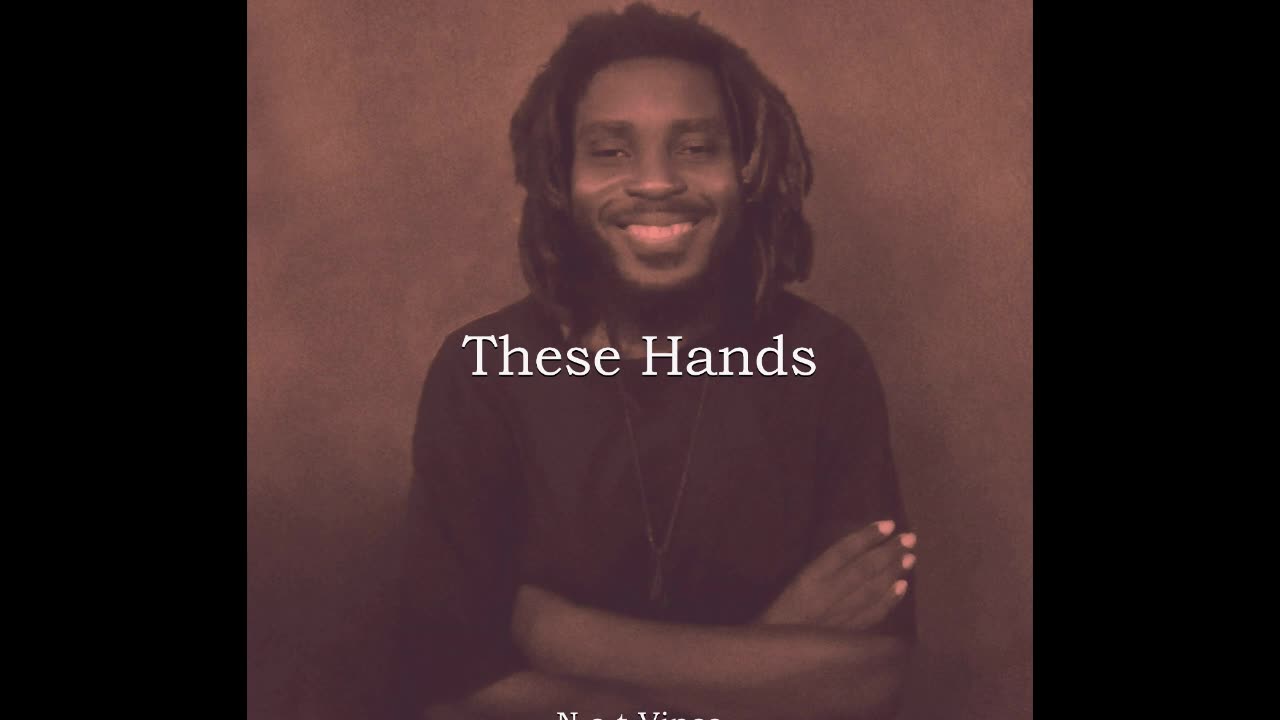 N.o.t Vince-These Hands (Official Audio)