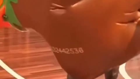 Another Liberal Show