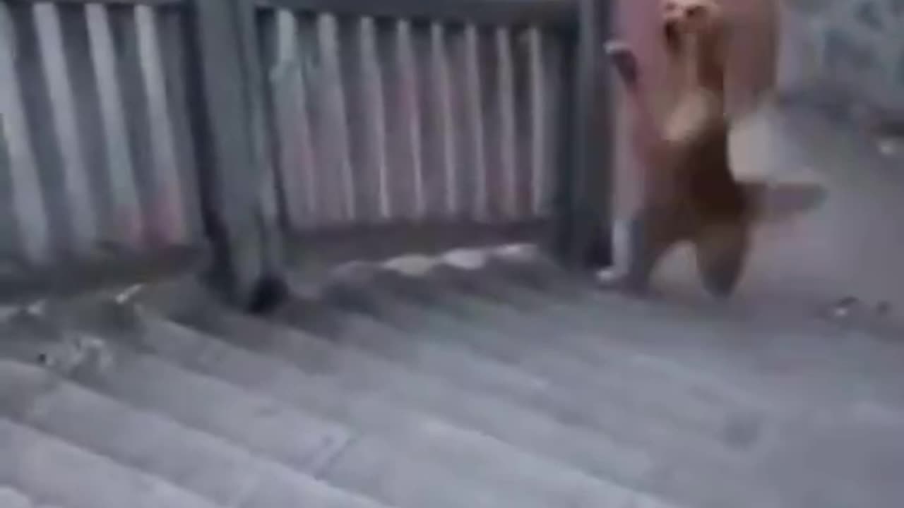 Taking The Stairs