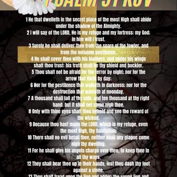 Protection Prayer Psalm 91 KJV #protection #prayer #psalm #91