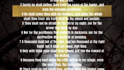 Protection Prayer Psalm 91 KJV #protection #prayer #psalm #91