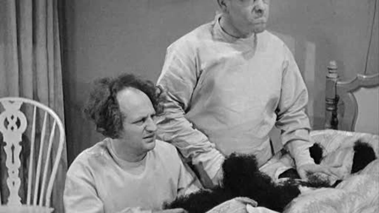E41. Calling All Curs - Curly Howard Era - 1939