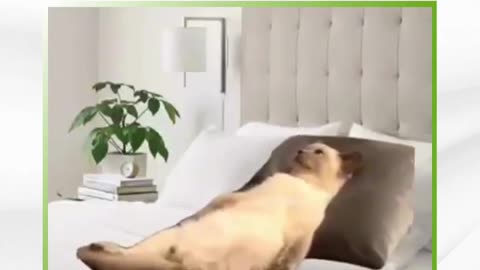 Mentally Preparing to Get Out